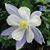 Joyce Davis's profile image