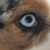 Donovan Lecure's profile image