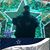 Bobby Alacran Valles's profile image
