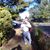 Anthony A Acerra's profile image