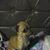 Bettielou Welch's profile image