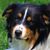 Vicky Farrell's profile image