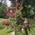 Donna Townsend's profile image