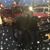 Fini Rocha's profile image