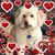 Karen Brown's profile image