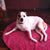 Jill Weston's profile image