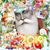 Sandeep Grewal's profile image
