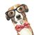 LaDonna Jarrett DeMent's profile image