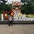 Carson Wampler's profile image