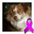 Lisa Manning DuBose's profile image
