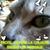 Délale Zbat's profile image