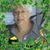Pauline Rice's profile image
