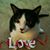 Julie Triplett's profile image