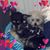 Stephanie Lopardo's profile image