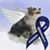Angel Fox's profile image