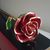 Julia Lloyd Couch's profile image