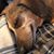 Amie Allison's profile image