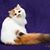 Lucy Robinson's profile image