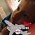 Lauren Speidel's profile image