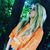 Giorgia Bertuola's profile image