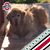 Andrea M. DeGennaro's profile image