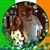 Patty Velasquez's profile image