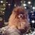 Sandy Wolfer Countryman's profile image