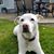 Sue Ferrozzo's profile image