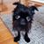 Sammy Dee III's profile image