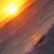Donna Kastl's profile image