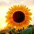 Jesica Cline's profile image