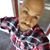 Reyes Sierra's profile image