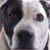 Carol Phillips Creekmore's profile image