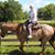 Ruth Chamblin's profile image