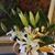 Tracey Jean Sandlin's profile image