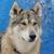 Abrisco's profile image