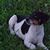 Loretta Kaden Smith's profile image