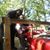 Marnita LaShone Hines's profile image