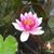 Beth Mercier's profile image