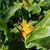 Marianne Hassett's profile image