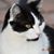 Tammie Zeigler's profile image