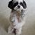 Pamela Martell's profile image