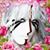 Kelley-Anne Crane's profile image