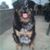 Nicole Hill Stingle's profile image