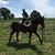 Beth Renstrom's profile image