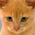 Sandy Payne's profile image