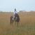 Cindy Schaeffer-Rutherford's profile image