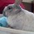 Barbara Nivens's profile image