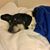 Donna Lochmann's profile image