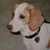 Greg Zalewski's profile image